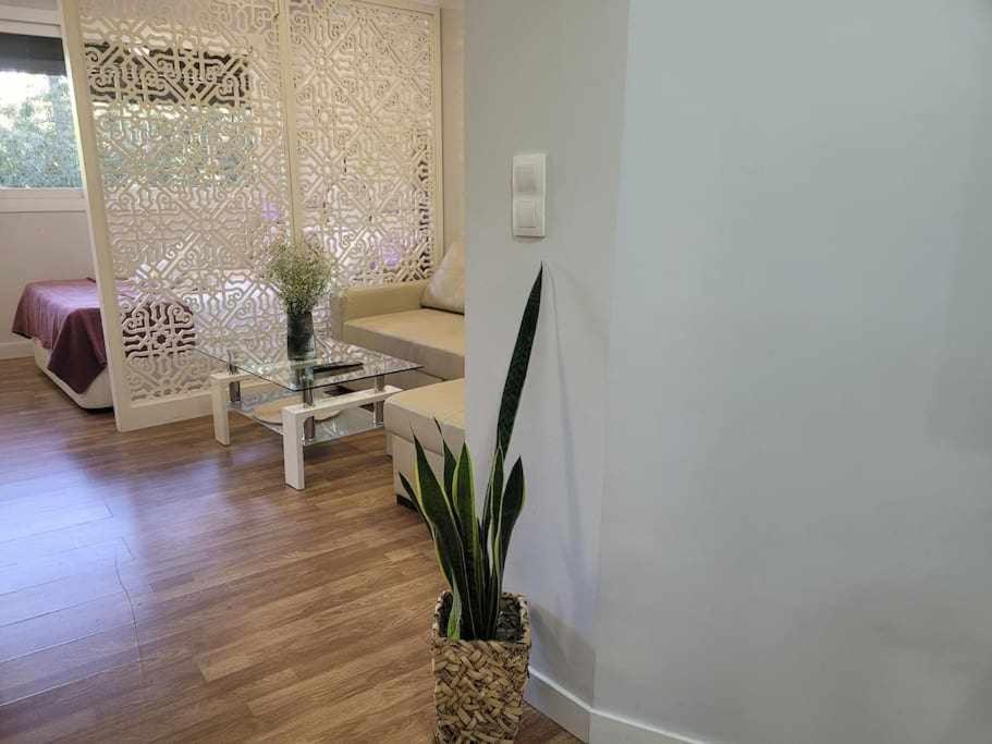 Apartamento Lirio De Agua Granada Centro Διαμέρισμα Εξωτερικό φωτογραφία